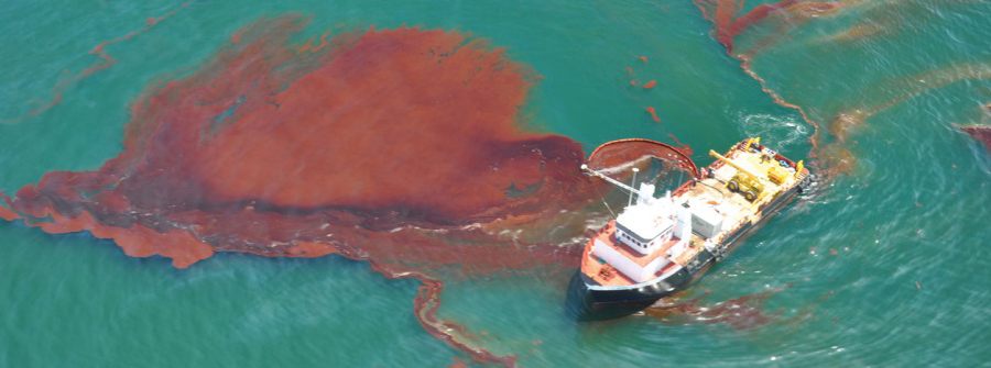 Oil in the Gulf of Mexico