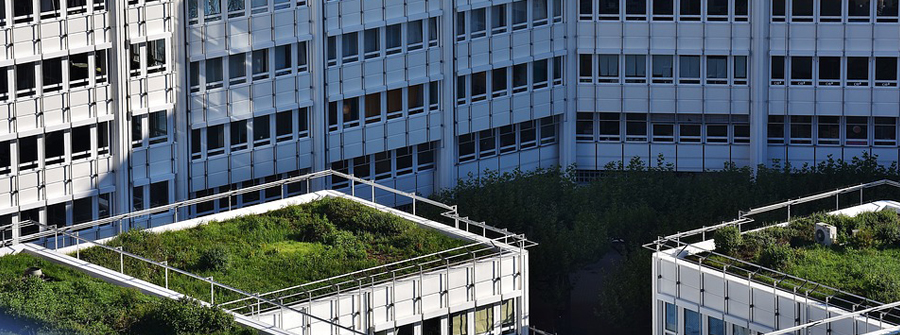 Green roofs